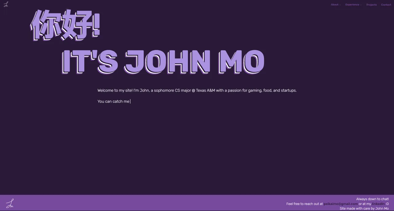 Previous React portfolio screenshot